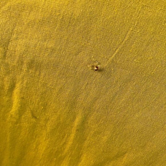 Quacker Factory jacket - Picture 5 of 14